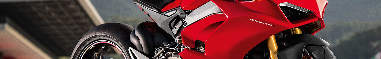 PANIGALE V4-V4S (2018-2019)