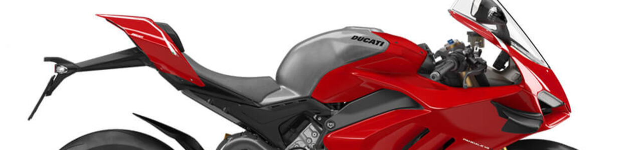 PANIGALE V4R (2019-2022)