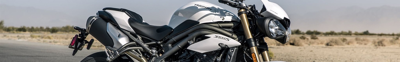 SPEED TRIPLE 1050 S (2018-2020)
