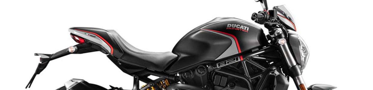 MONSTER 821 (2015-2020)