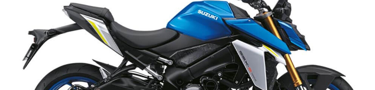 GSX-S1000 (2021-on)