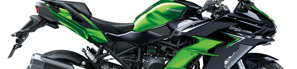 NINJA H2 SX (2023-on)