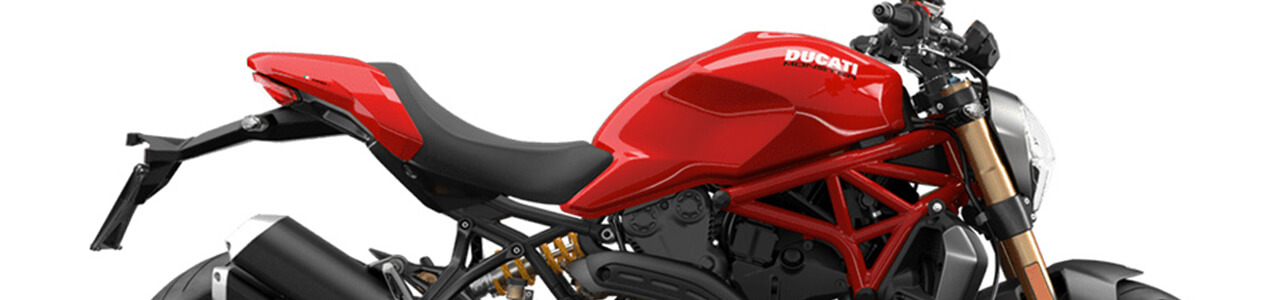 MONSTER 1200S (2017-2021)